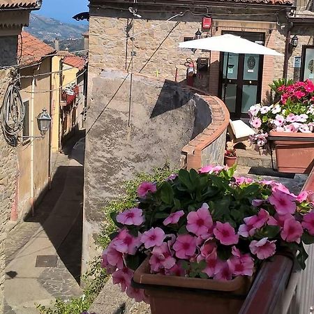 Santa Barbara B&B Torchiara Dış mekan fotoğraf