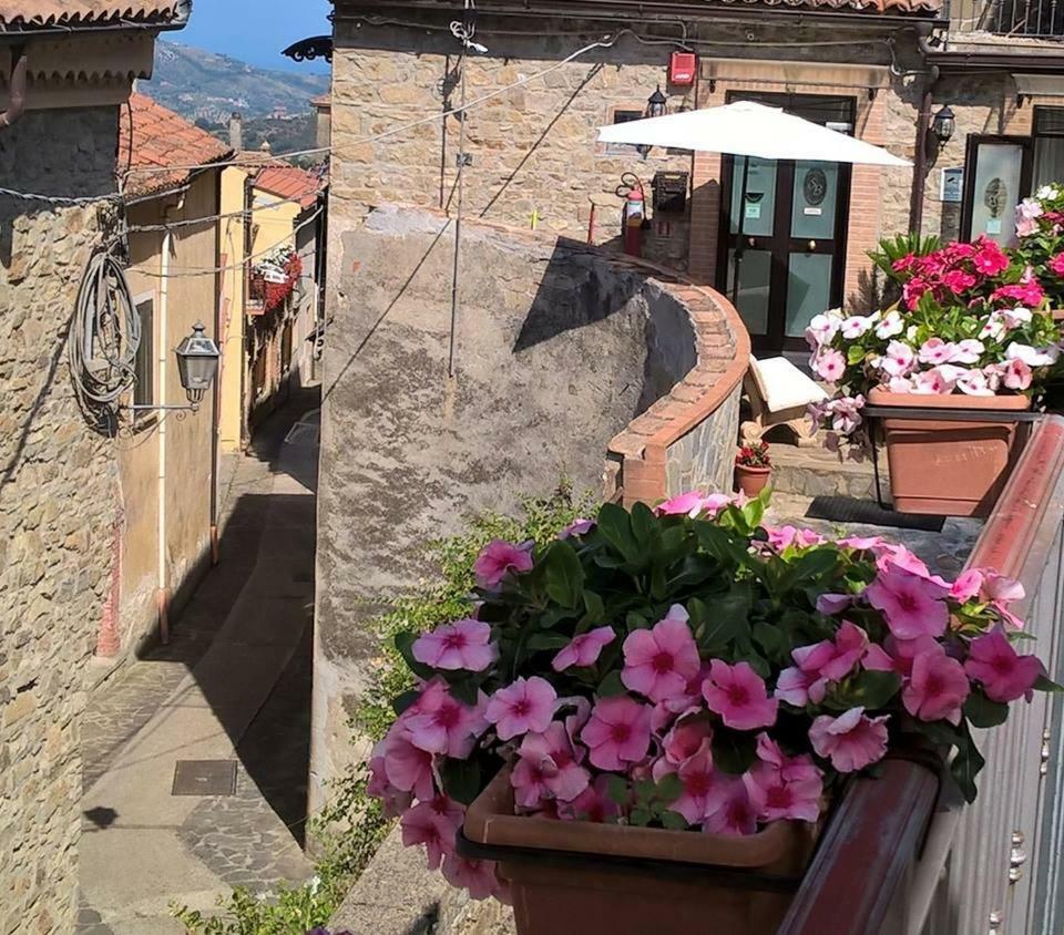 Santa Barbara B&B Torchiara Dış mekan fotoğraf